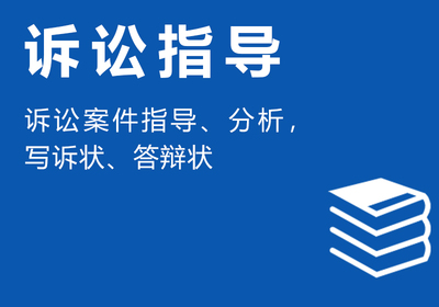 诉讼指导